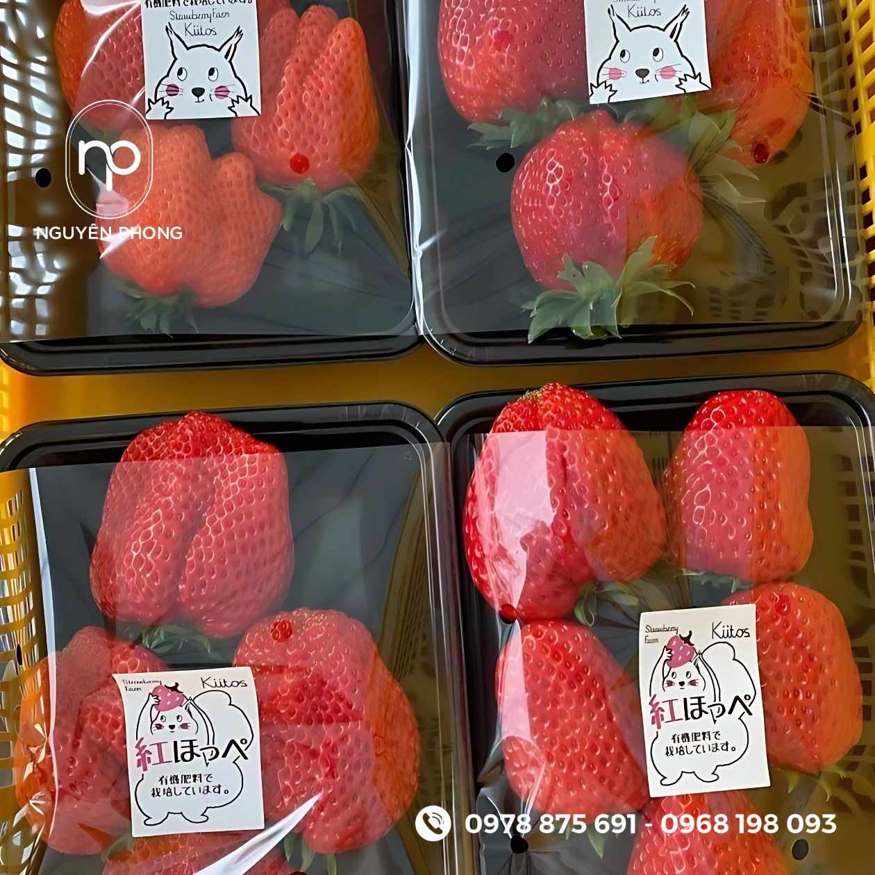 Mẫu tem dán dâu tây 

